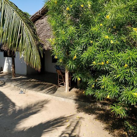 Jambiani Home Stay ภายนอก รูปภาพ