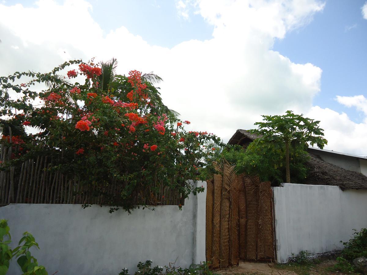 Jambiani Home Stay ภายนอก รูปภาพ